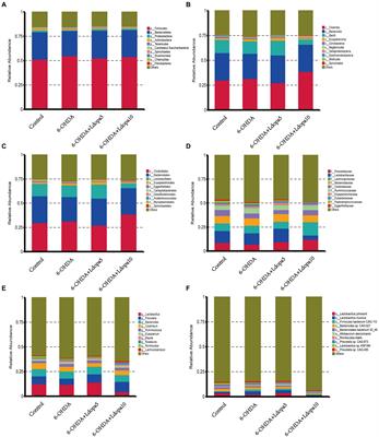 Effects of levodopa on gut bacterial antibiotic resistance in Parkinson’s disease rat